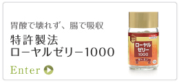 ���[�����[���[1000