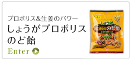 ���傤���v���|���X�̂ǈ�