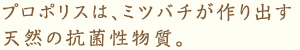 プロポリスは、ミツバチが作り出す天然の抗菌性物質。
