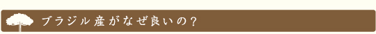 ブラジル産がなぜ良いの？