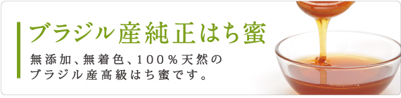 ブラジル産純正はち蜜