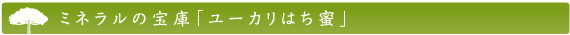 ミネラルの宝庫「ユーカリはち蜜」
