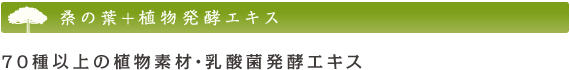 桑の葉ダイエット