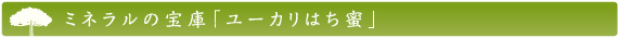 ミネラルの宝庫「ユーカリはち蜜」